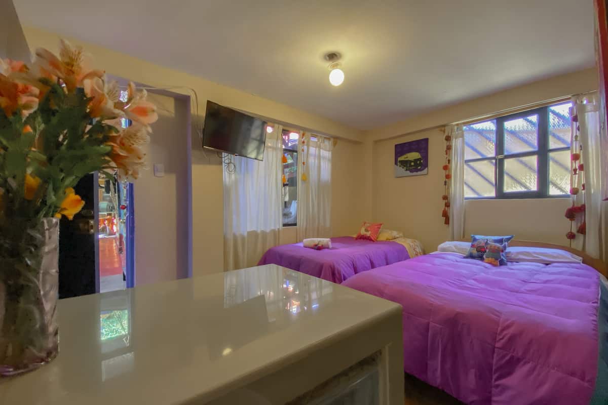 Una habitación con dos camas, televisor, ventana con cortinas y un florero con flores.
