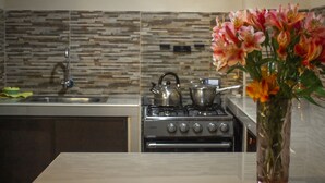 Una cocina con estufa moderna, un lavamanos y salpicadero de azulejos.
