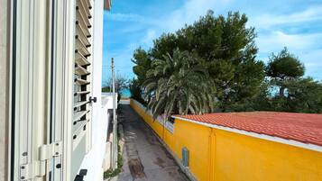 Apartment | 6 bedrooms