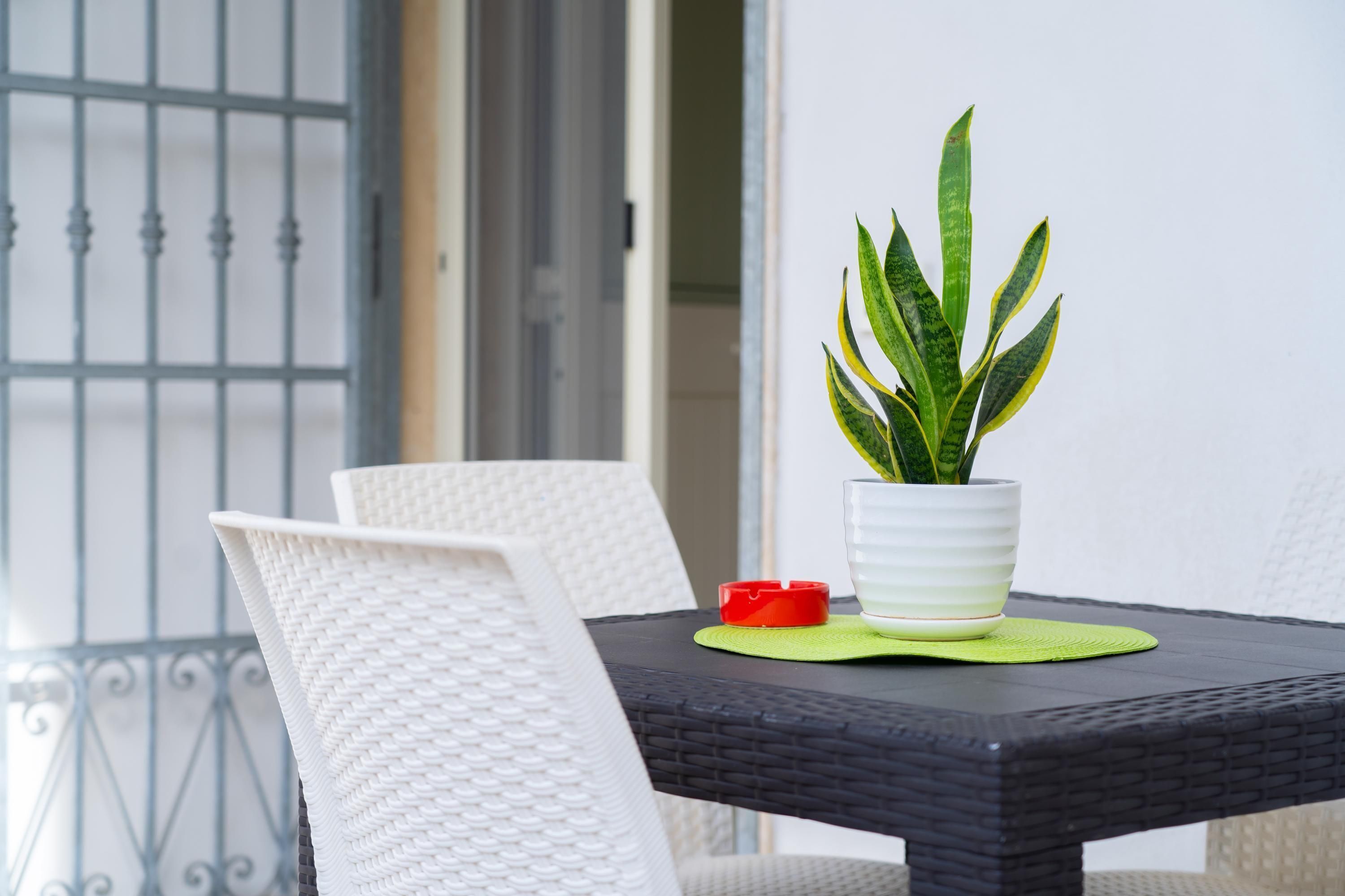 Apartment | 6 bedrooms