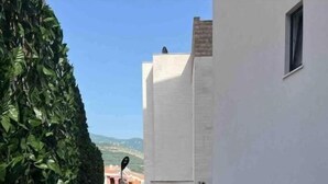Una piscina amb baranes metàl·liques, envoltada per una tanca i un edifici amb façana blanca.