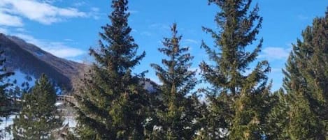 Terrain de lâhĂ©bergement