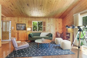 Smart TV, fireplace, books