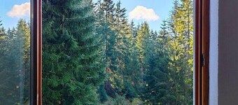 Apartments Planinski raj / Apartment Planinski raj 6