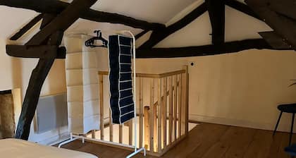 Gezellig Appartement in Charmant Gerenoveerde 200 Jaar Oude Duiventoren!