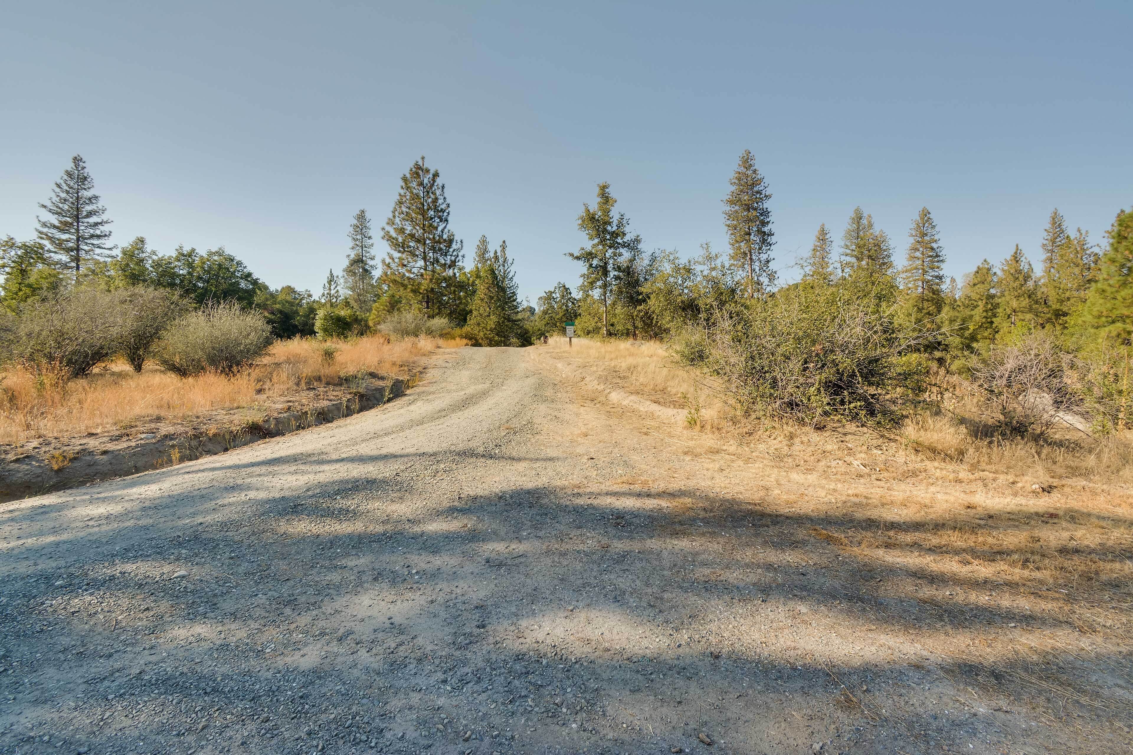 A gravel road flanked by dry grass and trees.