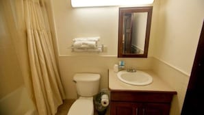 Een kleine badkamer met toilet, wastafel en spiegel.