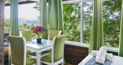 Mountain View W/Private Jacuzzi