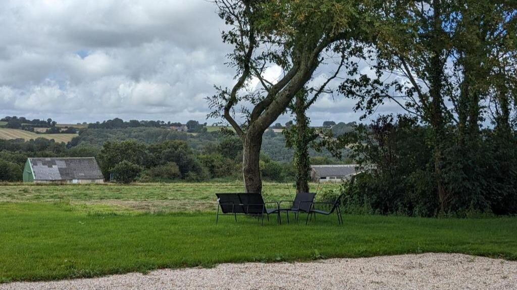A grassy field with a large tree, two black chairs, and a gravel path.