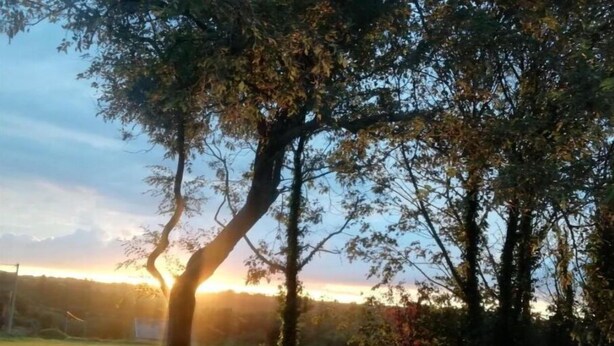 A grassy field with trees and a sunset in the background. - Gîte Ty Loguellou (Locmélar)