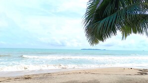 A beach with a palm tree, sandy shore, and calm sea. - Sunrise Resort (Bang Saphan)
