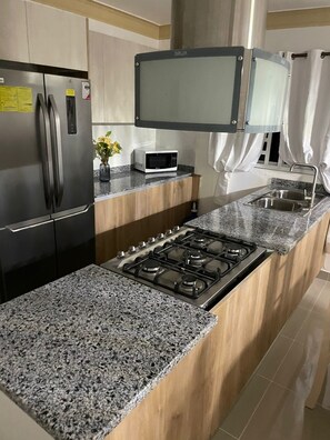 Fridge, microwave, oven, stovetop - Lujoso apartamento con jacuzzi privado (San Francisco de Macorís)