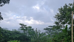 A lush, green landscape with dense foliage and a stone wall in the foreground. - 20 min walk to Kandy city from this breezy, quite property with a parking. (Kandy)