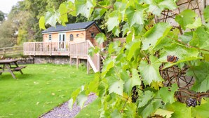 Una baita di legno con veranda, immersa nel verde e circondata da un prato curato.
