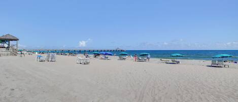 Cottage (1 Bedroom) | Intérieur