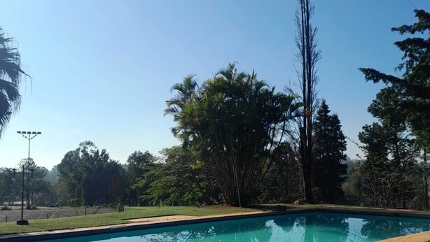 A rectangular swimming pool with a metal ladder on one side, surrounded by well-maintained grass and trees.