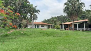 A house with a red-tiled roof, surrounded by lush greenery and palm trees.