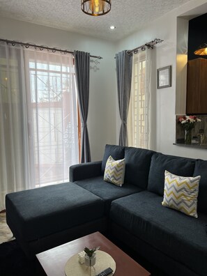 Smart TV - Tranquil Urban Gem in Kampala (Kampala)