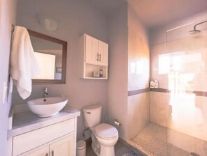Bathroom features a sink, mirror, toilet, and shower with a glass door.