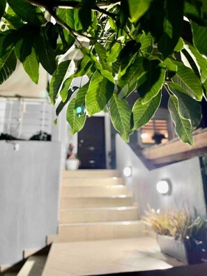 Property grounds - Cozy place near to airport (Porto Rafti)