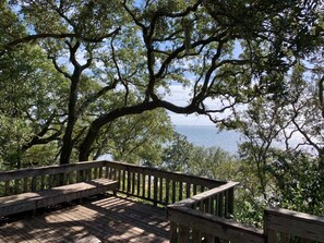 Unclassified image, 3 of 40, button