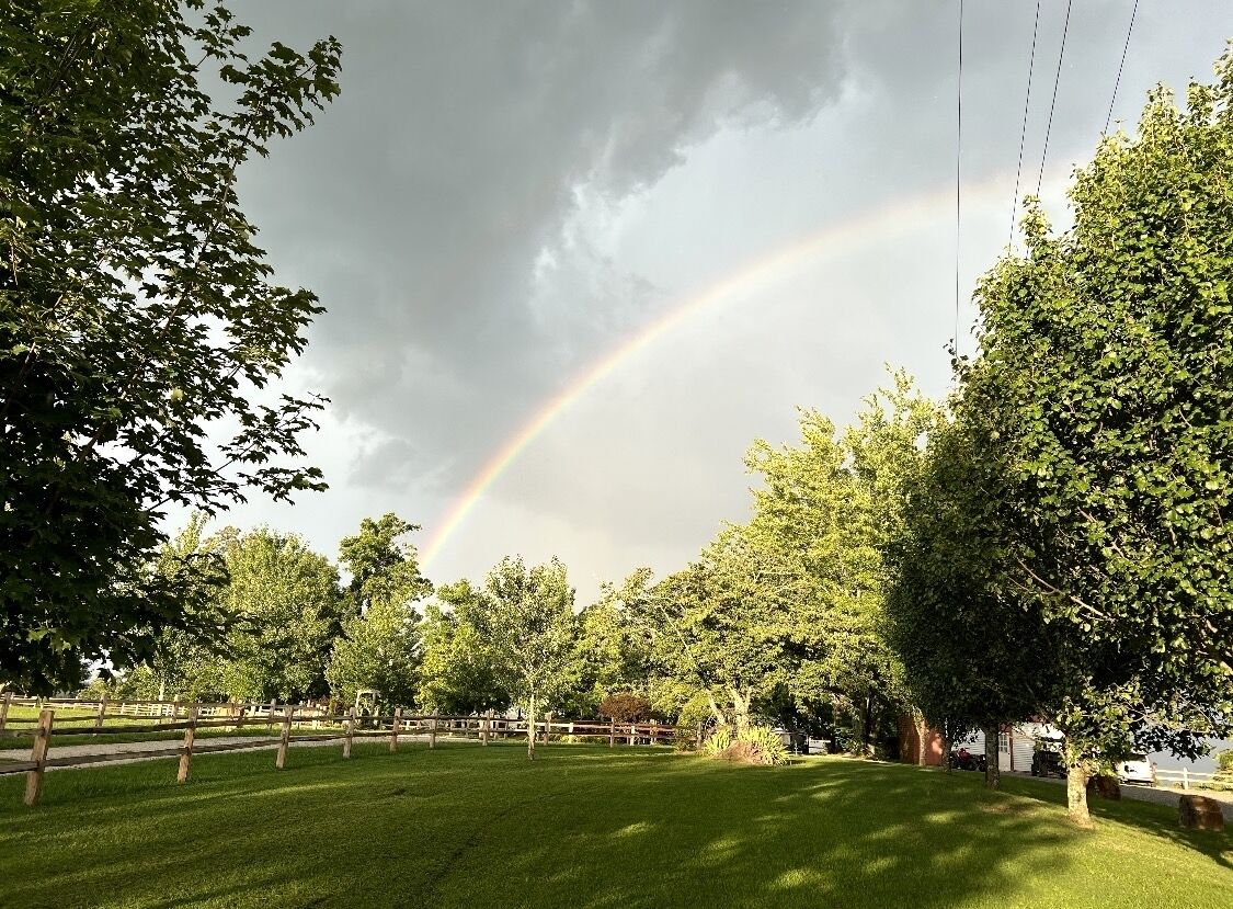 A park with a rainbow, trees, and a fence.