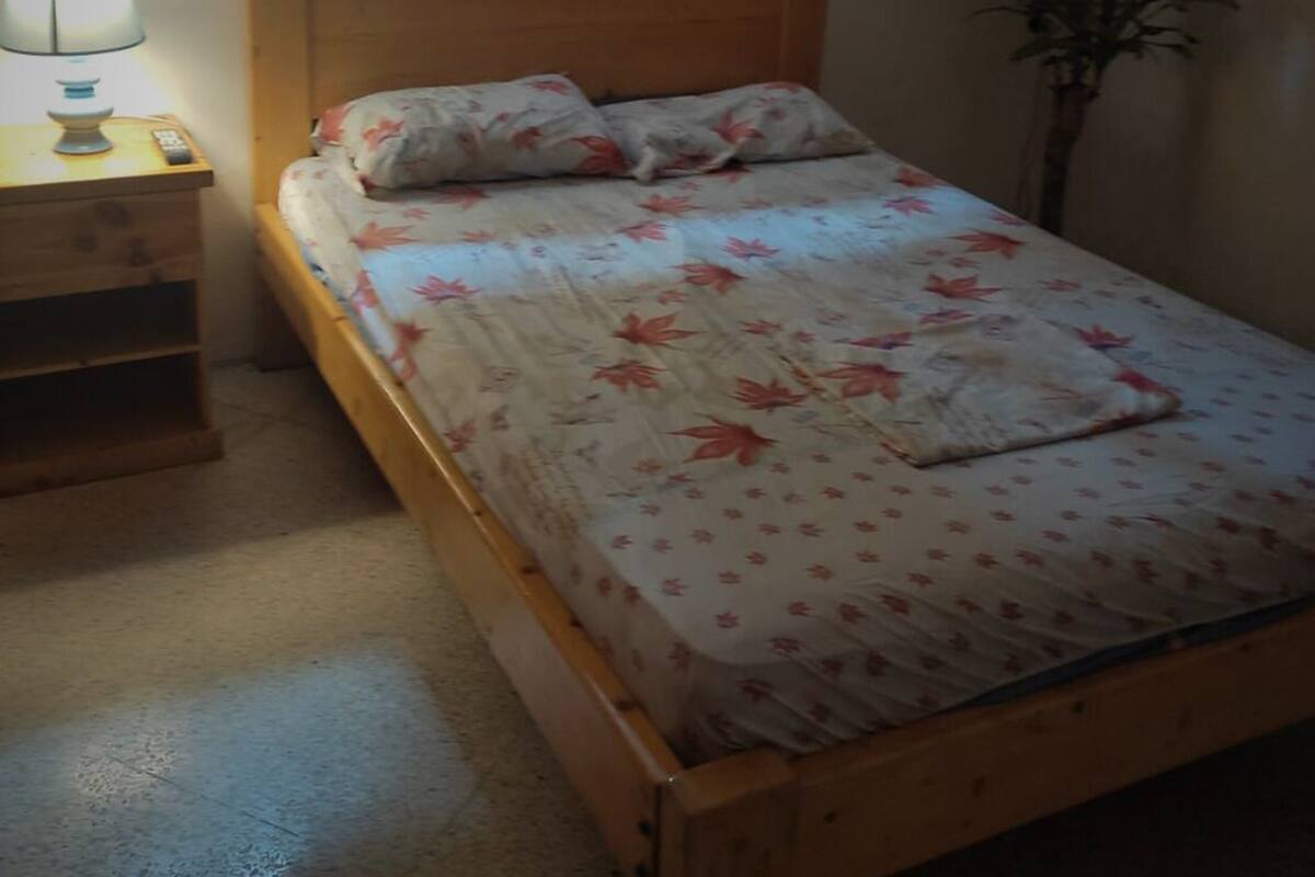 A single bed with a floral bedspread, a wooden headboard, a bedside table with a lamp, and a small plant in the corner.