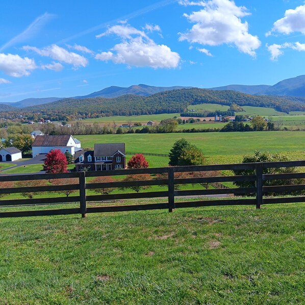 Área da propriedade