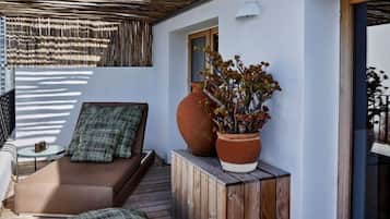 Junior suite, terras | Terras