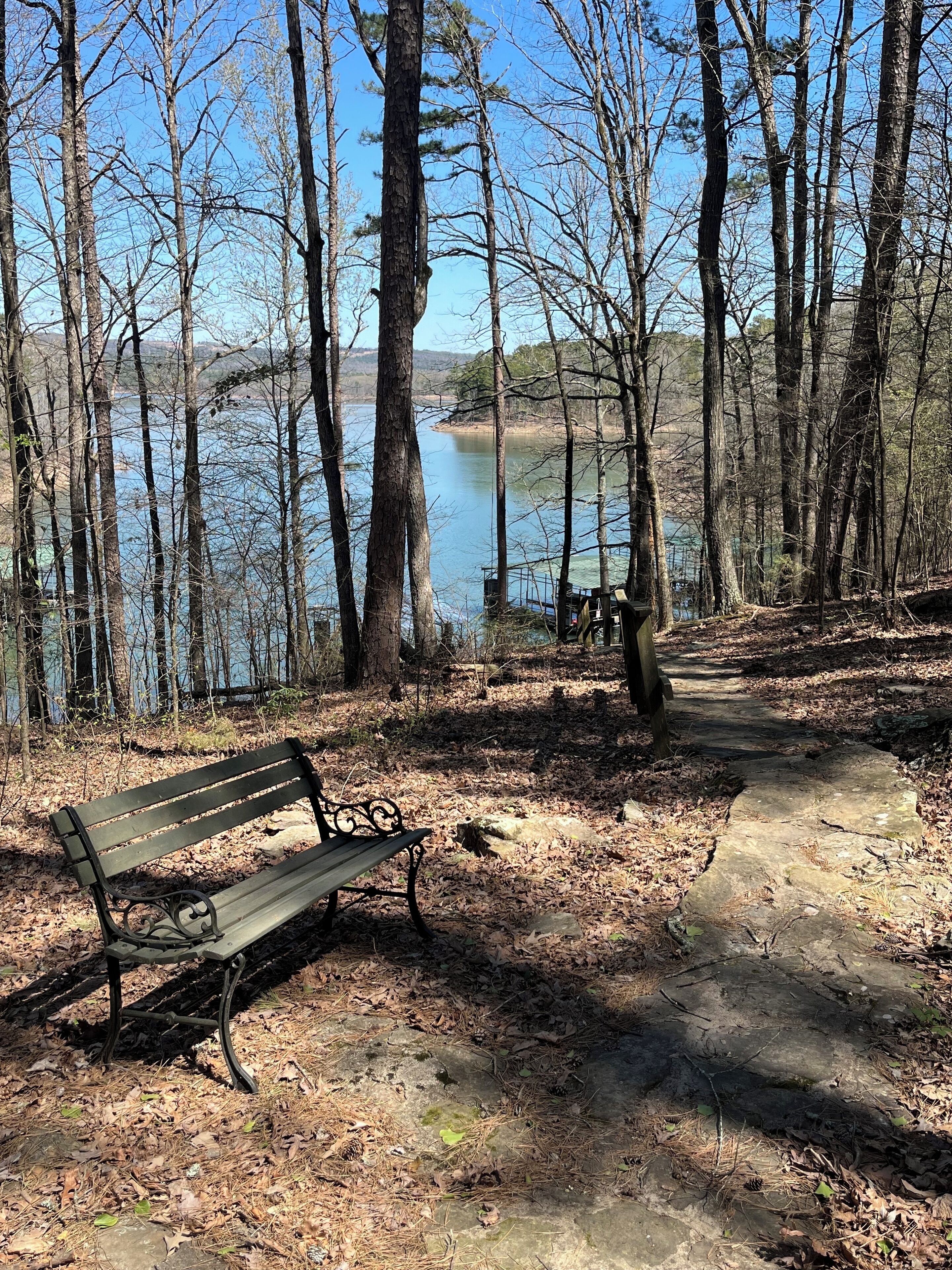 A bench in a forested area with a lake in the background.