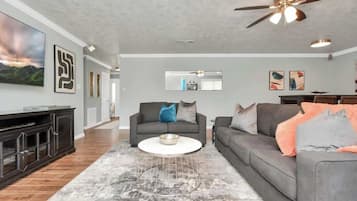 Fernseher, Arbeitsbereiche