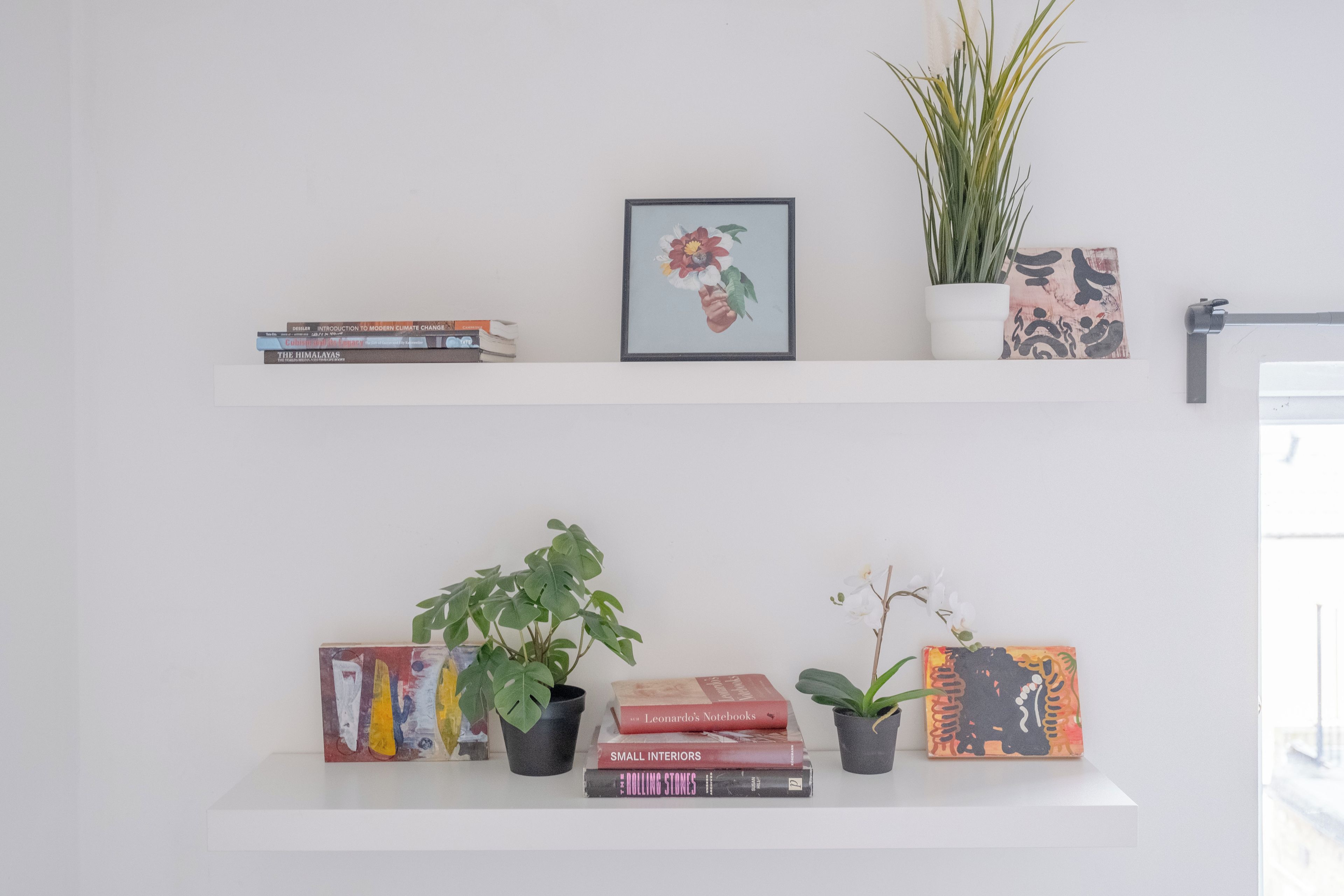 Two white shelves with books, a framed picture, and potted plants.
