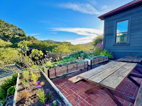 A garden with raised beds, a wooden bench, and a house with a window.