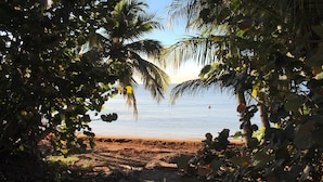A beach with palm trees and a view of the sea. - Seaside, Tennis, Pickleball, Golf, Pool (Humacao)