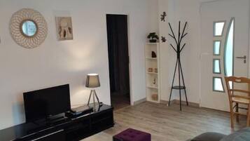 Smart TV, chimenea, reproductor de DVD y videoteca