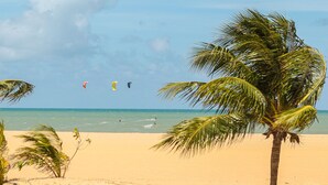 A beach with a palm tree, clear sky, and kites flying.