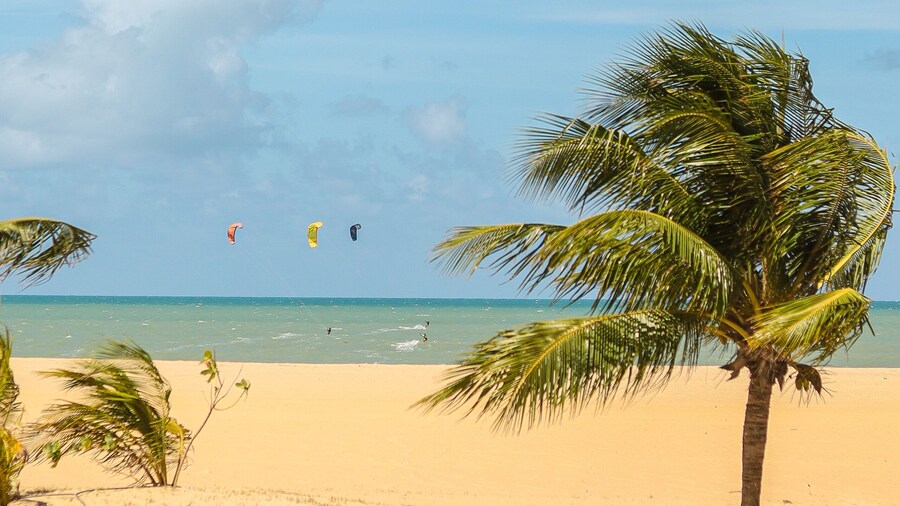 The Home SĂŁo Miguel do Gostoso by Liiv