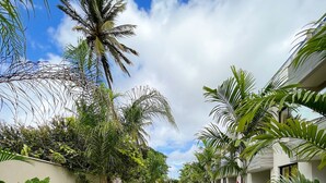 A pathway with grass and stone paving, surrounded by lush greenery and palm trees.