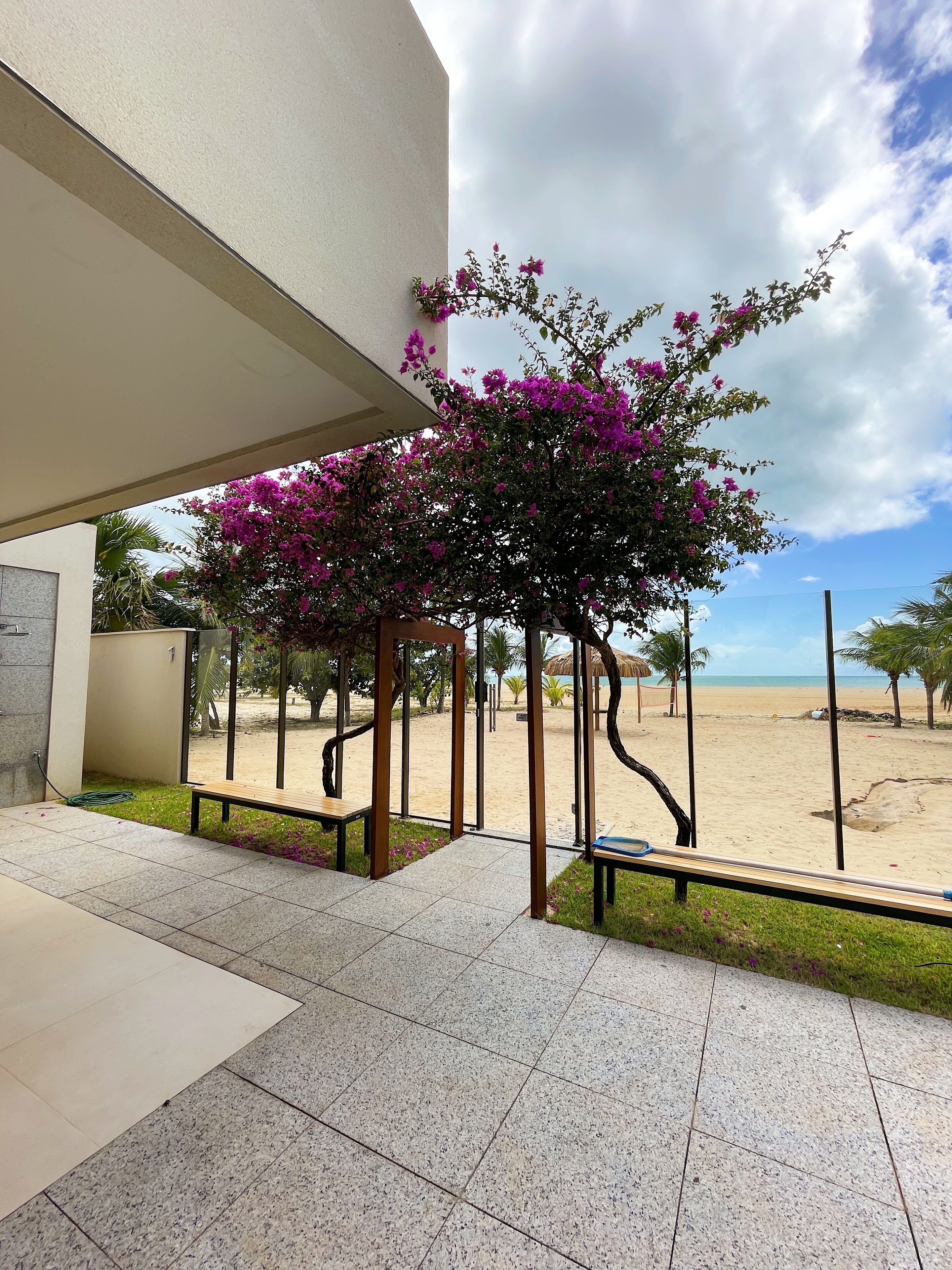 Un espace extérieur abrité offrant une vue sur une plage de sable et des palmiers.