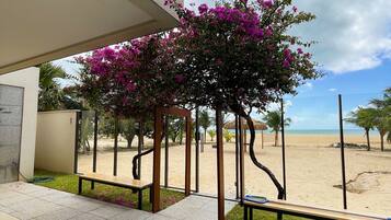 Un espace extérieur abrité offrant une vue sur une plage de sable et des palmiers.