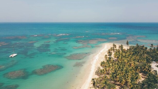 Een luchtbeeld van een strand met helder turquoise water, een zandstrand en weelderige palmbomen.