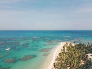 Een luchtbeeld van een strand met helder turquoise water, een zandstrand en weelderige palmbomen.