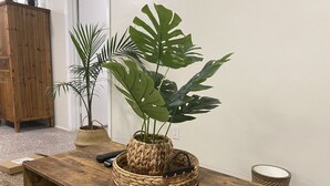 A wooden table with a woven basket containing a large leafy plant. - Adorable 1bdr cottage steps to beach!!  (Deerfield Beach)