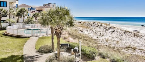 A beachfront property with a pool, palm trees, and a sandy beach.
