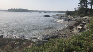 A rocky shoreline with a view of the water and distant trees.