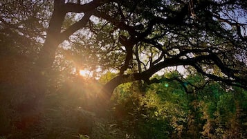 1 dormitorio, wifi gratis, ropa de cama