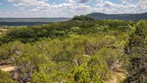 A natural landscape with dense greenery and a distant hill.