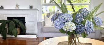 Sandon Beach Cottage-beach, escarpment, cafes- Pet friendly!