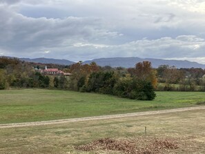 Golf - THE NUT FARM  20 minutes to Pigeon Forge
Sleeps 2 / No animals /  No children (Seymour)