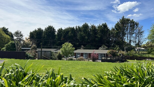 Un quartier résidentiel avec une pelouse verdoyante, une clôture en bois et une rangée d’arbres en arrière-plan.
